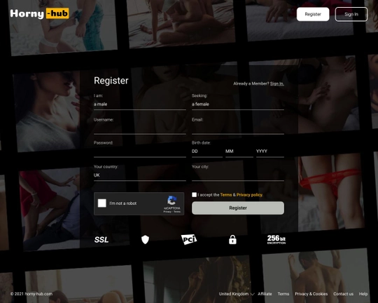 Horny Hub Logo
