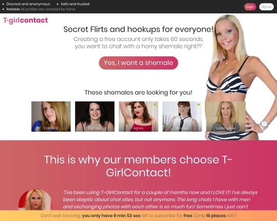 T-GirlContact Logo