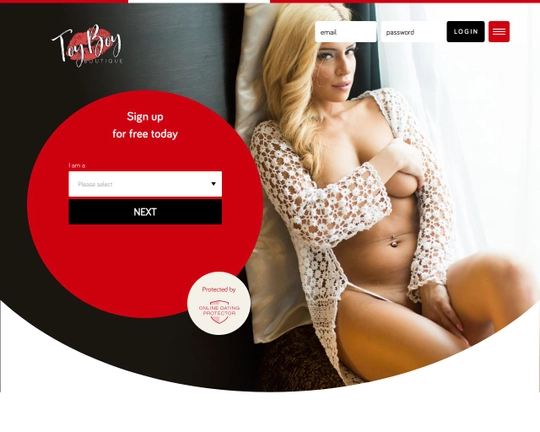 Toy Boy Boutique Logo