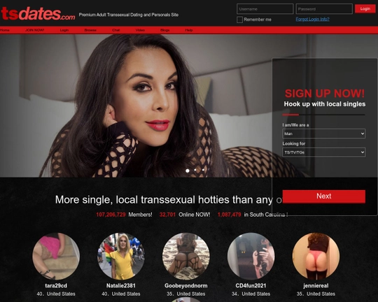 TsDates Logo